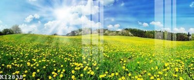 Ảnh gốc file in lụa File gốc in tranh tổng hợp K12838 chi tiết