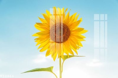 Download file gốc File gốc in tranh tổng hợp K12866 (in lụa) cao cấp