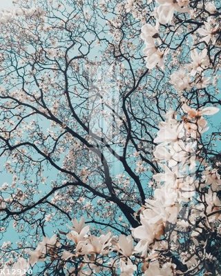 File gốc File gốc in tranh tổng hợp K12910 (in mica) trang trí