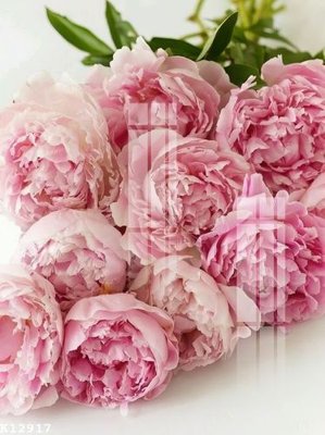 File tranh trang trí File gốc in tranh tổng hợp K12917 (file gốc)