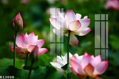 File tranh quảng cáo File gốc in tranh tổng hợp K13008 (download file gốc)