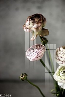 File tranh File gốc in tranh tổng hợp K13036 (bản gốc) treo quán cafe