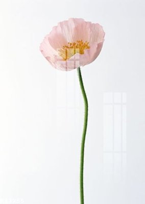 File ảnh gốc File gốc in tranh tổng hợp K13255 không vỡ nét