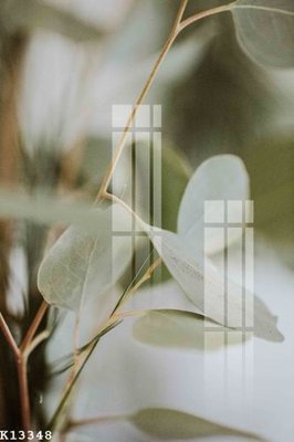 File ảnh File gốc in tranh tổng hợp K13348 (gốc) in PP, decal