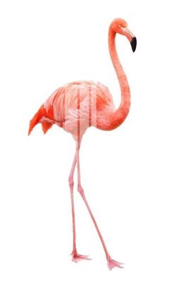 File tranh File gốc in tranh tổng hợp K13646 (gốc) chủ đề con người