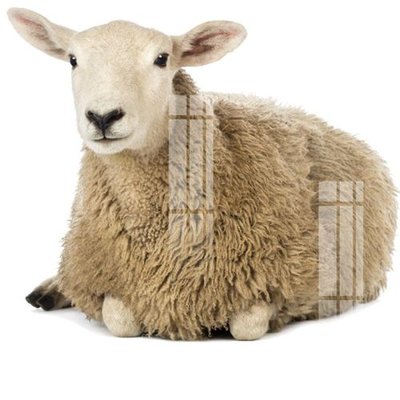 Tải file gốc File gốc in tranh tổng hợp K13649 (in tráng gương) siêu đẹpFile tranh gốc File gốc in tranh tổng hợp K13649 chất lượng cao