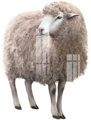 File in lụa File gốc in tranh tổng hợp K13651 (hoa văn) File gốc in tranh tổng hợp K13651