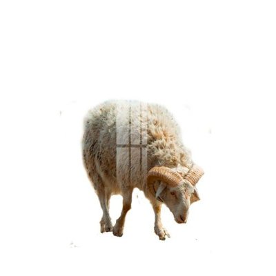 File gốc in ấn File gốc in tranh tổng hợp K13655 độ phân giải cao