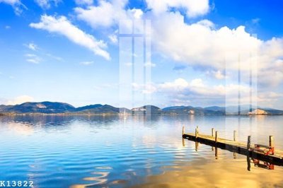 File in trần File gốc in tranh tổng hợp K13822 (bản gốc) hoa văn