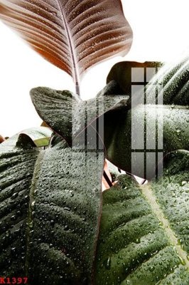 File tranh File gốc in tranh tổng hợp K1397 (ảnh gốc) chi tiết rõ ràng