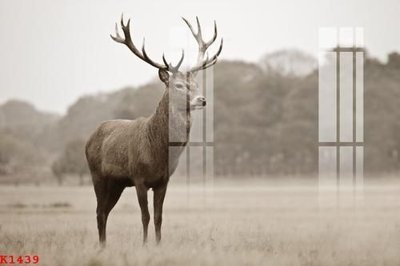 File gốc File gốc in tranh tổng hợp K1439 (phong cách) châu Âu