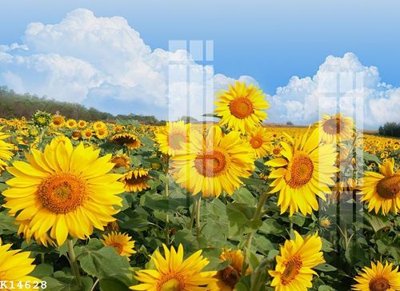 File gốc File gốc in tranh tổng hợp K14628 (cho in ấn) từ Filetranh.com