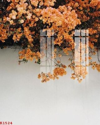 File tranh File gốc in tranh tổng hợp K1524 (ảnh gốc) độc quyền