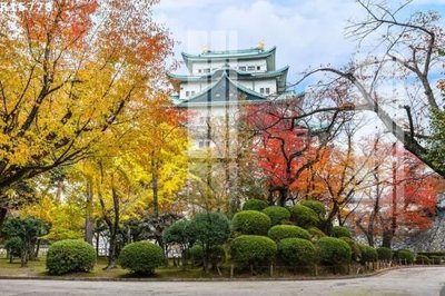 File in trần File gốc in tranh tổng hợp K15778 (bản gốc 3D) sống động