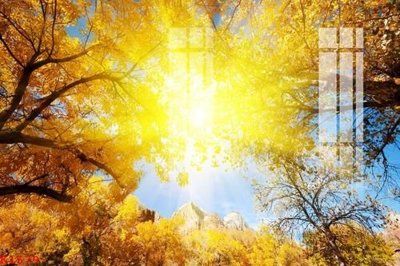 File gốc File gốc in tranh tổng hợp K1579 (bản quyền) cho in ấn