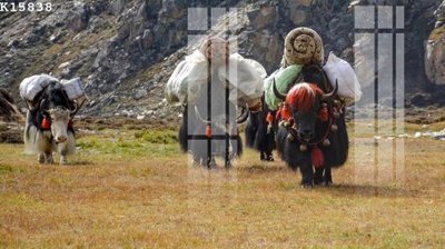 File in lụa File gốc in tranh tổng hợp K15838 (chất lượng cao) File gốc in tranh tổng hợp K15838