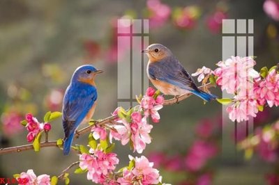 File in trần File gốc in tranh tổng hợp K1622 (bản gốc 3D) sống động