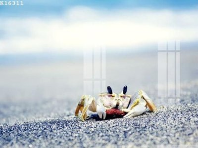 File gốc File gốc in tranh tổng hợp K16311 (Filetranh.com) File gốc in tranh tổng hợp K16311