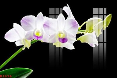 File tranh File gốc in tranh tổng hợp K1634 (gốc) phong cách tối giản