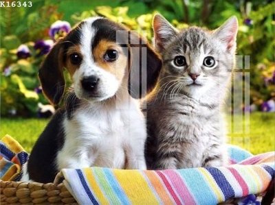 File gốc File gốc in tranh tổng hợp K16343 (trang trí) phòng ngủ