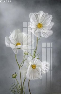 Hình ảnh gốc File gốc in tranh tổng hợp K16563 (để in khổ lớn)