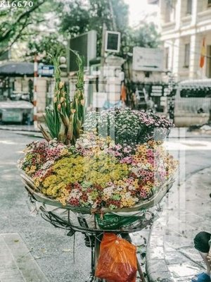 File gốc File gốc in tranh tổng hợp K16670 (dành cho quảng cáo)