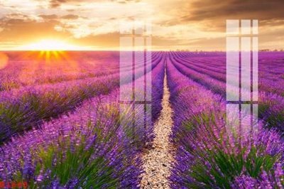 Tải về file tranh gốc File gốc in tranh tổng hợp K1668 (để in quảng cáo)