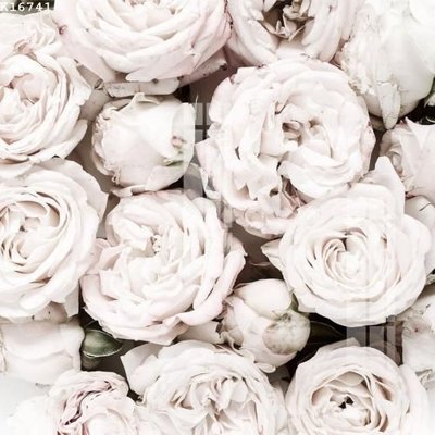 File gốc File gốc in tranh tổng hợp K16741 (PNG) chất lượng cao