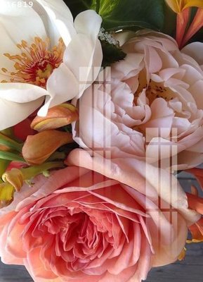 Cung cấp file tranh gốc File gốc in tranh tổng hợp K16819 độc quyền