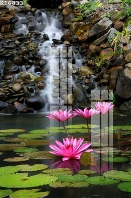 Tải file PSD File gốc in tranh tổng hợp K16833 (nguyên layer) để in