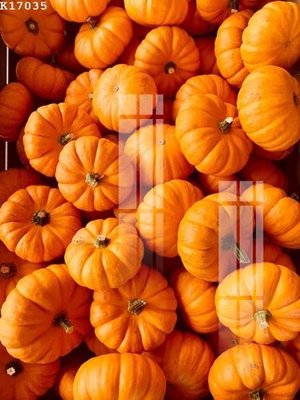 File gốc File gốc in tranh tổng hợp K17035 (cho in ấn) từ Filetranh.com