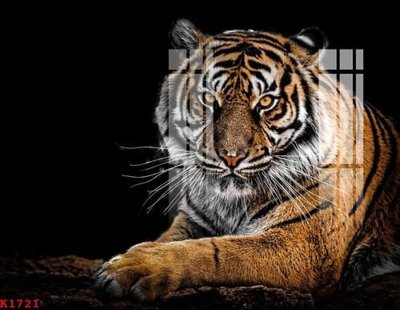 Hình ảnh gốc File gốc in tranh tổng hợp K1721 (để in khổ lớn)