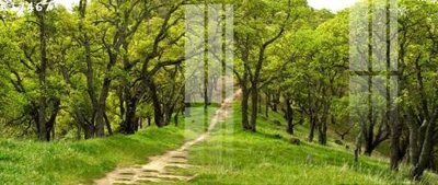 File gốc File gốc in tranh tổng hợp K17467 (in lụa) cao cấp