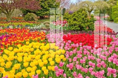 File gốc File gốc in tranh tổng hợp K17485 (ảnh chi tiết) để in lụa