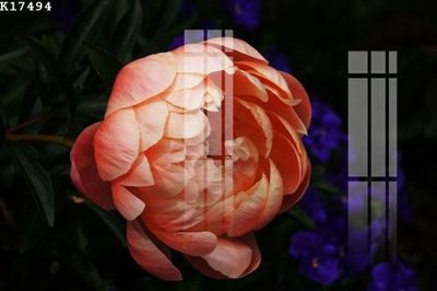 Tải file gốc File gốc in tranh tổng hợp K17494 (để in lụa)