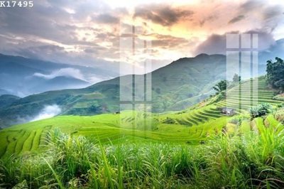 File ảnh File gốc in tranh tổng hợp K17495 (gốc) in decal dán tường