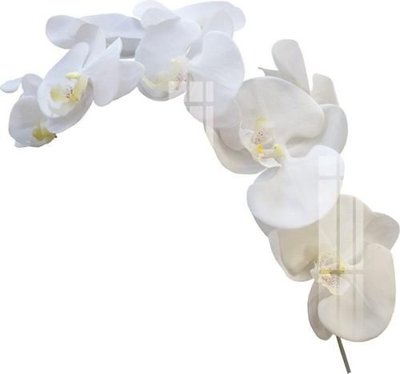 File tranh in tráng gương File gốc in tranh tổng hợp K17605 (siêu nét)