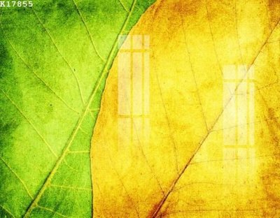 Tải file File gốc in tranh tổng hợp K17855 (PSD) cho in tranh 3D