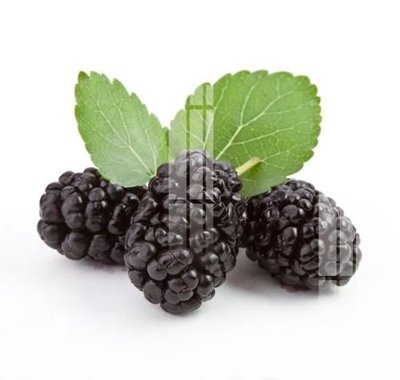 File gốc File gốc in tranh tổng hợp K17856 (vector) cho in ấn