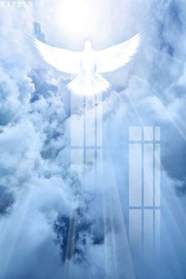 File tranh gốc in trần nhà File gốc in tranh tổng hợp K17857 3D