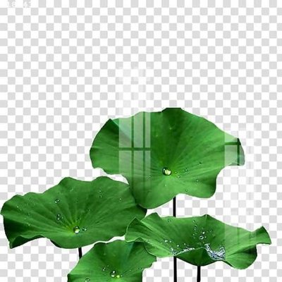 Tải file File gốc in tranh tổng hợp K18543 (gốc) chủ đề tôn giáo