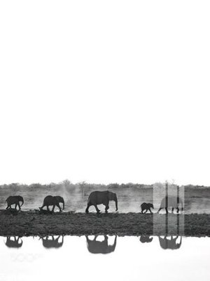 Download file File gốc in tranh tổng hợp K18899 (gốc) cho xưởng in