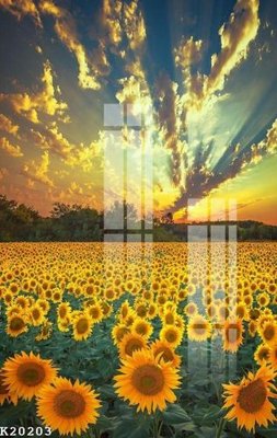 File tranh trang trí File gốc in tranh tổng hợp K20203 (tải file gốc)