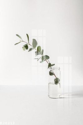 File in trần File gốc in tranh tổng hợp K20212 (bản gốc) 5D