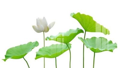 File gốc File gốc in tranh tổng hợp K20313 (in lụa) trang trí tường