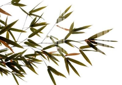 Mua file gốc File gốc in tranh tổng hợp K20409 (PSD) tại Filetranh.com