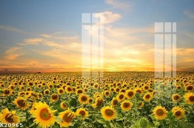 File tranh File gốc in tranh tổng hợp K20965 (gốc) chủ đề trừu tượng