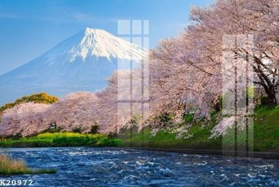 File gốc File gốc in tranh tổng hợp K20972 (in lụa) họa tiết 3D