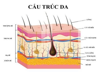 File in trần File gốc in tranh tổng hợp K21076 (file gốc) phong thủy