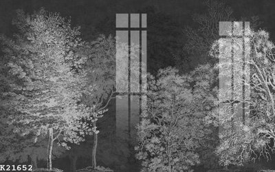 File tranh File gốc in tranh tổng hợp K21652 (ảnh gốc) in trần nhà